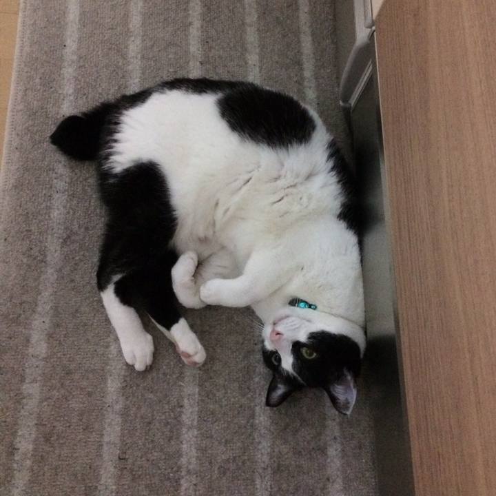 63476158 637a 43eb 9d62 527b1df410a9