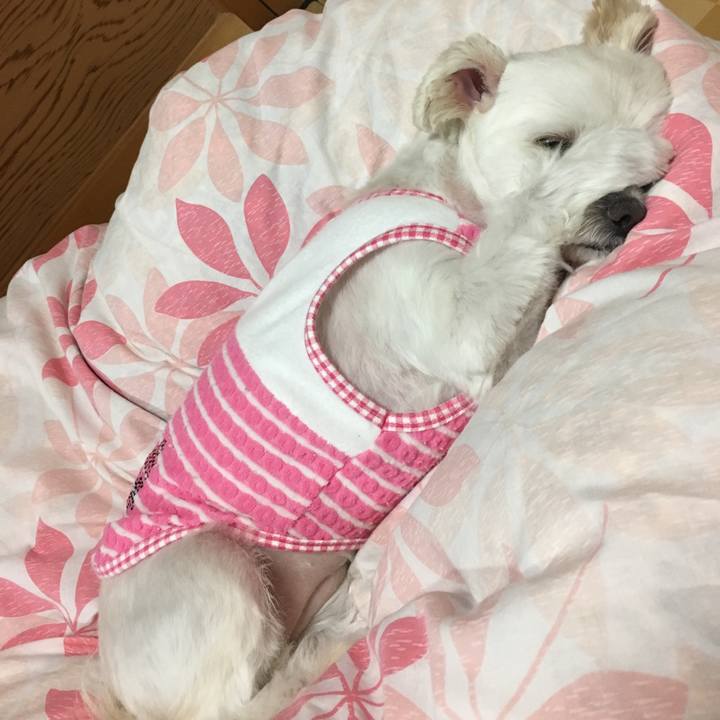 63479237 d104 4cc3 aa26 bc9f9c44da74