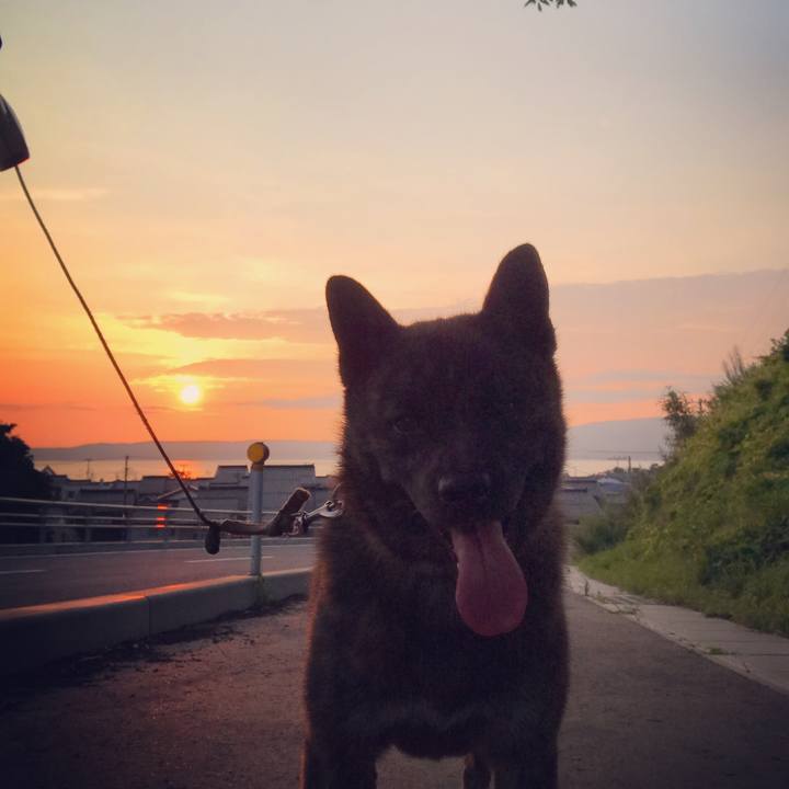 6347df99 9a2c 43b4 99d5 bdb7622d34c9