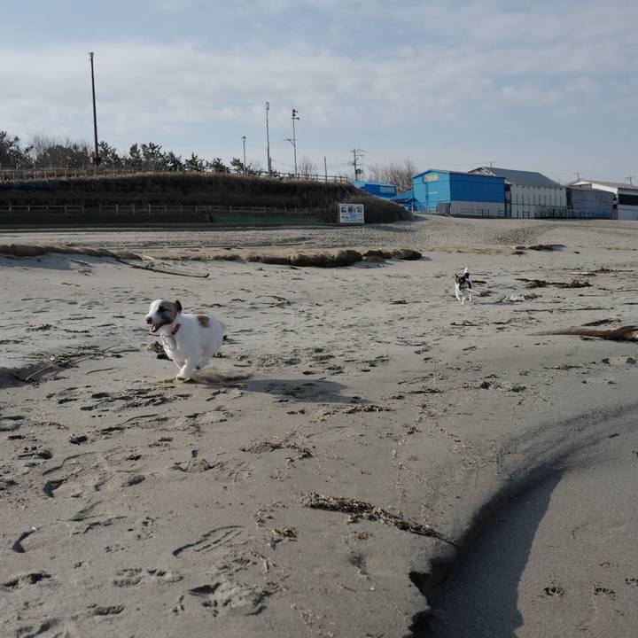 634860a3 be5b 4260 9b4c bbc7a4821e96