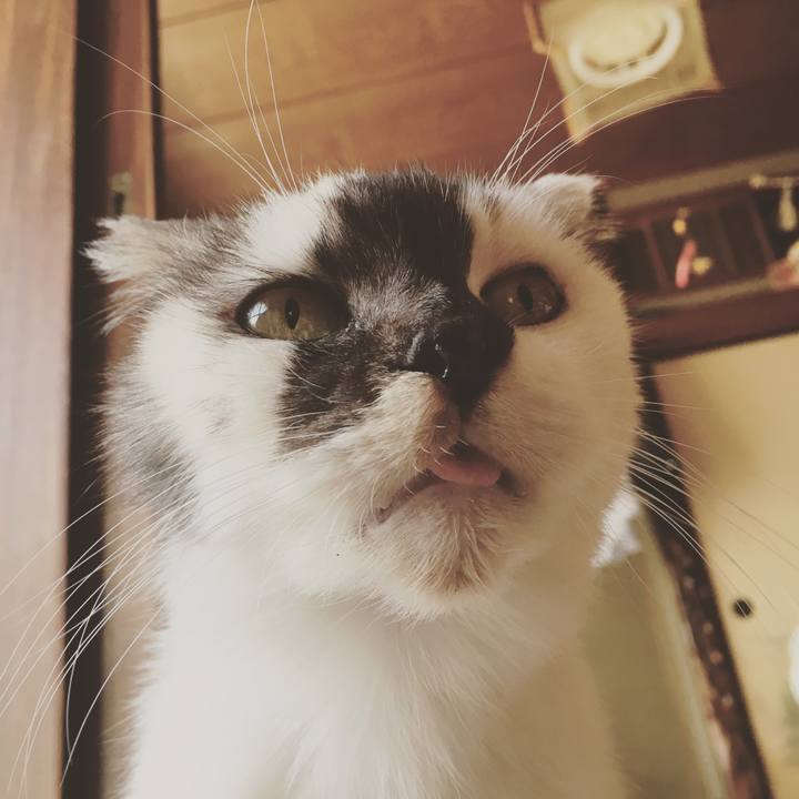 63488171 78bb 426e 9c5c 8eabf38517a4