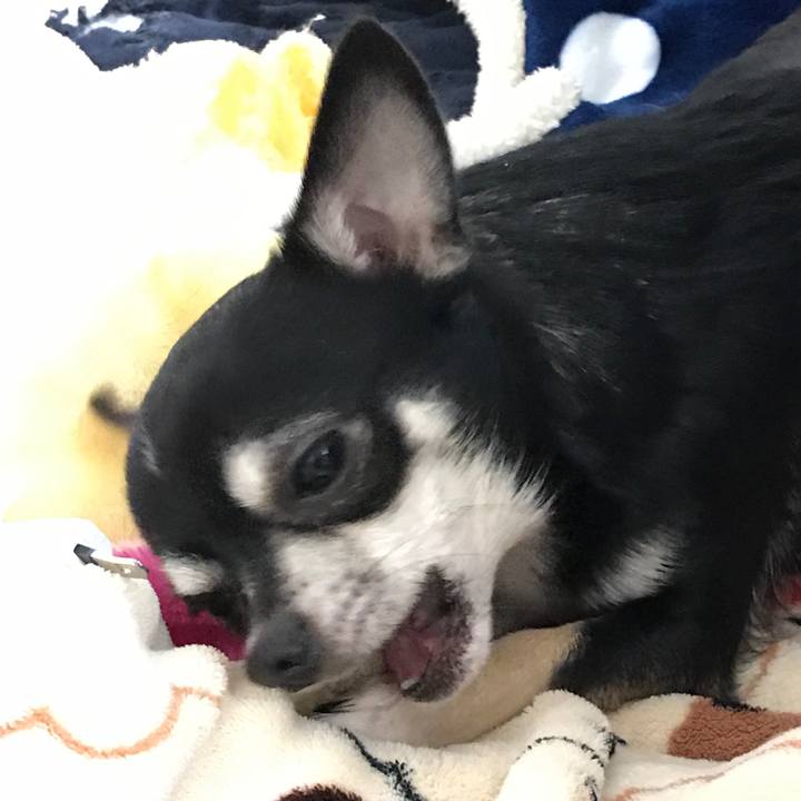 63492dd3 d4ec 44a2 bd1e 381ea412a98c