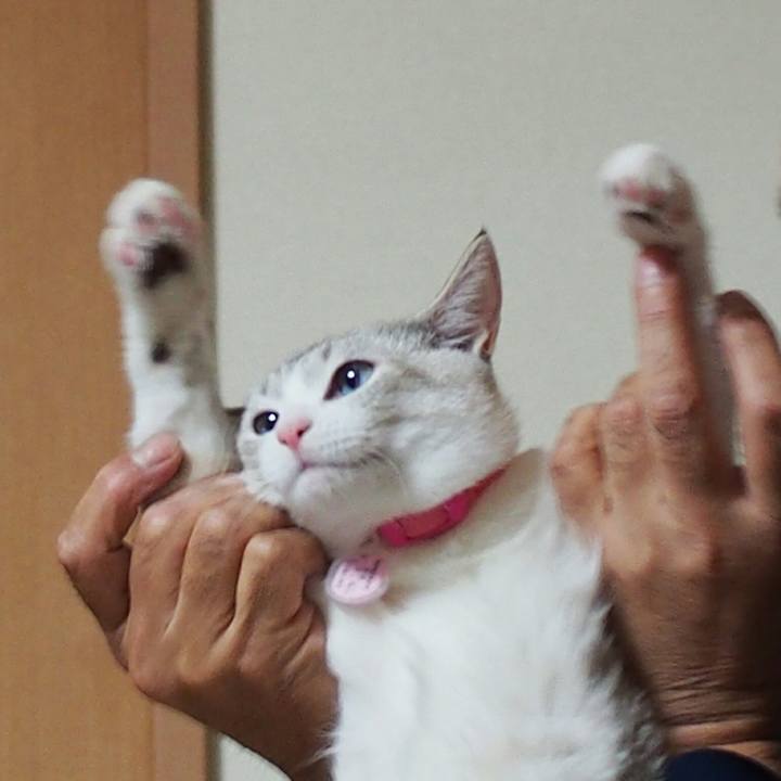 634a841b 26dc 4071 af17 065b24430792