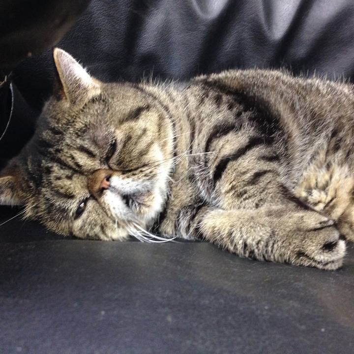 634b4395 ed07 4f2a 907a bea9436e1503