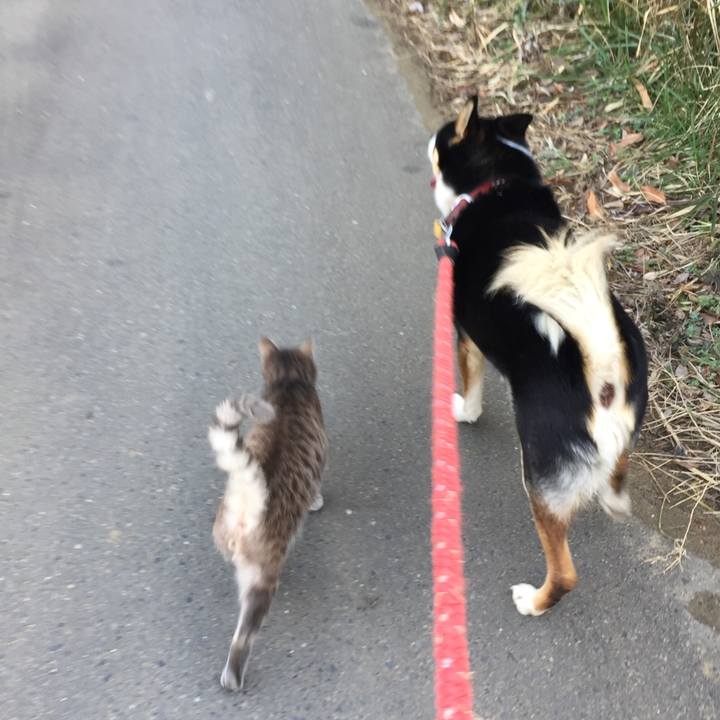 634b6c95 7648 4c83 aef1 867e8b80ae47