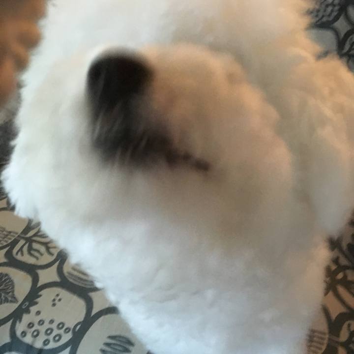 634bffa8 07b6 4d67 9b2f 13ad80485f3f