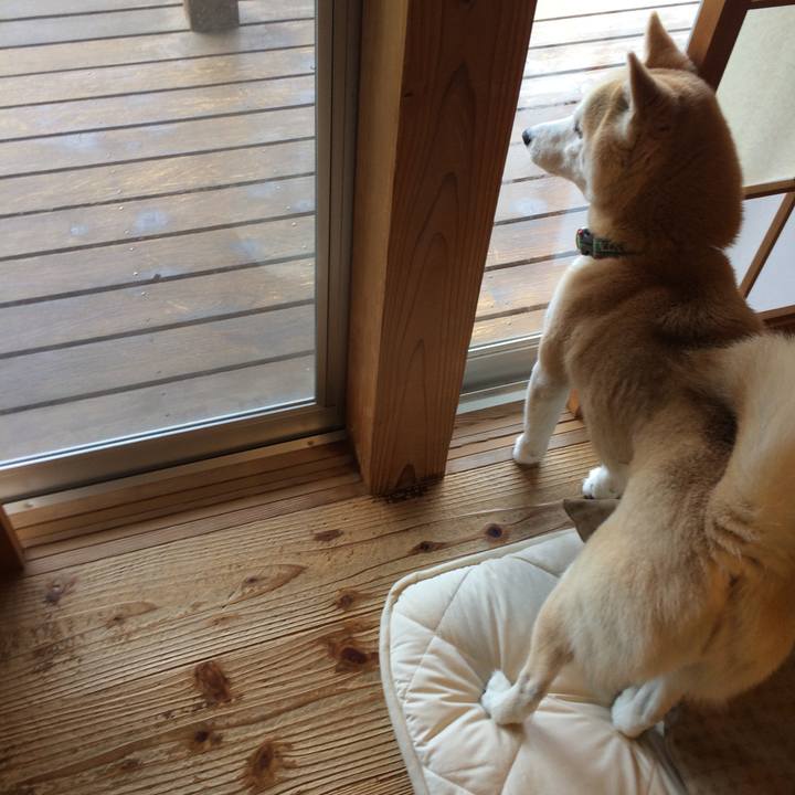 634c333c 4e6f 4d02 b000 beeb98795c2f