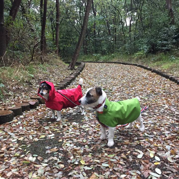 634c441b 70ba 45f6 a691 01a41d1f4b53