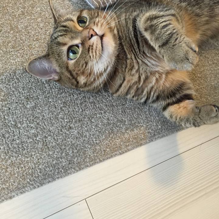 634cd72f f87f 42a2 b468 74c333616d58