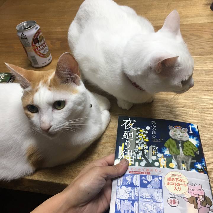 634d769c 9ef4 45ae 9f64 88a9cfaf24ba