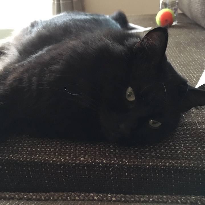 634d7f76 07f3 4e3e a3f2 1a443a31838c