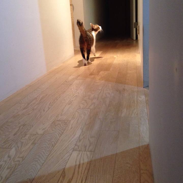 634da038 5b24 469d ab74 377c3bfadfb3