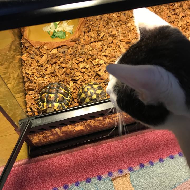 634daf21 9f64 4336 ba4c 359135003b38