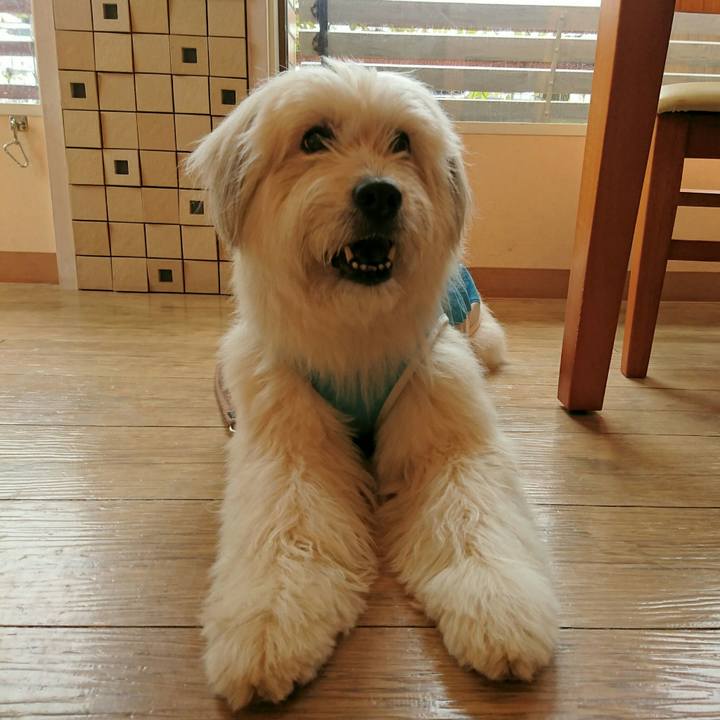 634db0e0 4f26 40c1 be0c 73337e13c020