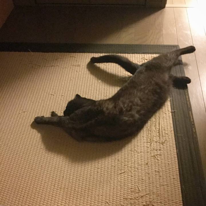 634e01c3 a7a9 4c38 a460 8574d3070489