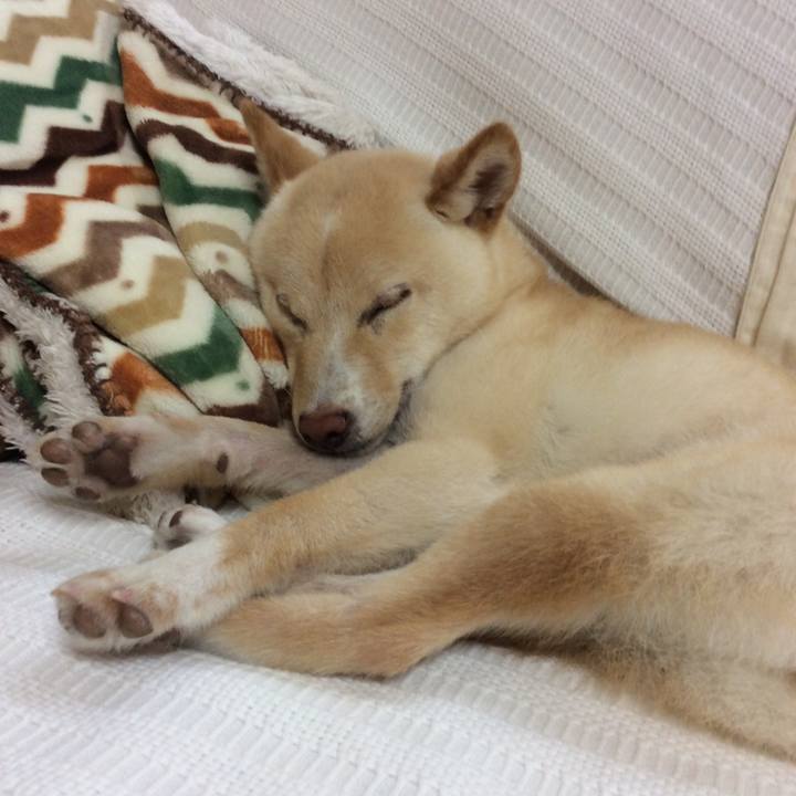 634ea4f0 4c2d 4d99 9fb4 80c4bdf53e55