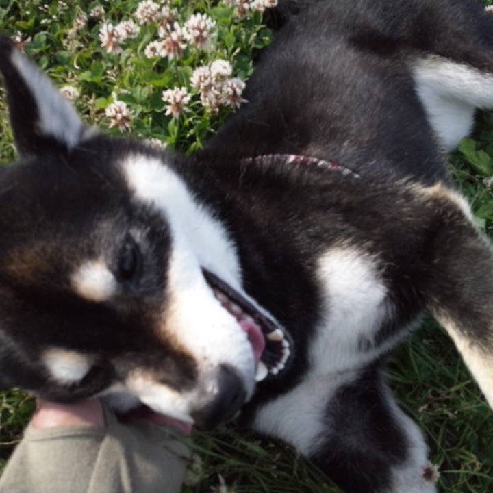 634f052f 3a6f 4b13 914c 42ee7fee3d33