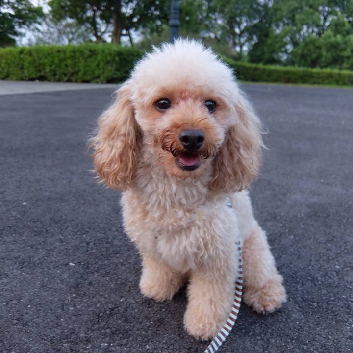 634f2ebd e3af 4c32 870e 977908eb085c