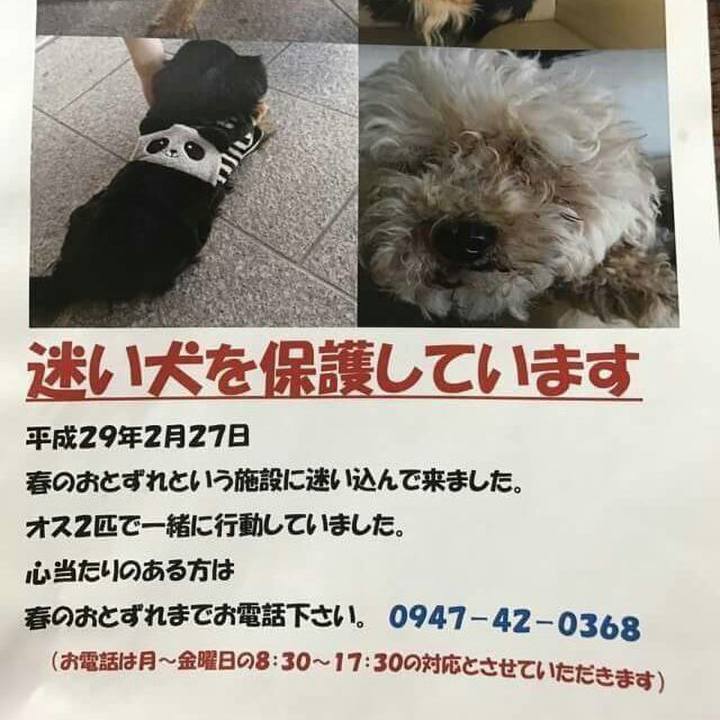 634f2f9b a45c 4bd3 bd78 d0d49d09976d