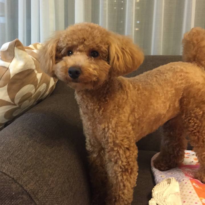 634f8fd3 a28e 43ba a2eb f60e381a65e8