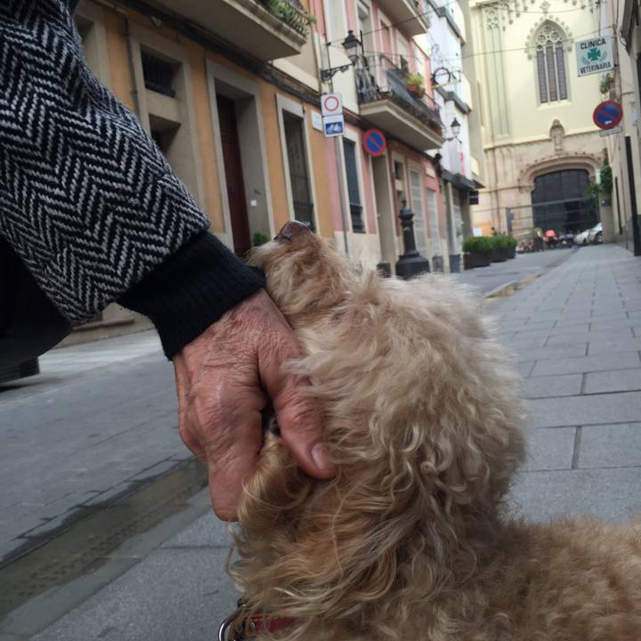 634ffc84 aec8 4bc4 b1cb b3c7f3c9963b