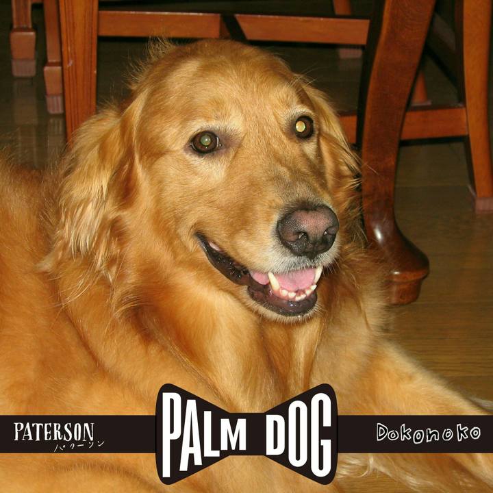 6350a862 afcd 4487 86a5 e5211235bd47