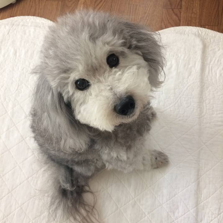 6350c073 0bd6 4372 bc91 bec18867390a