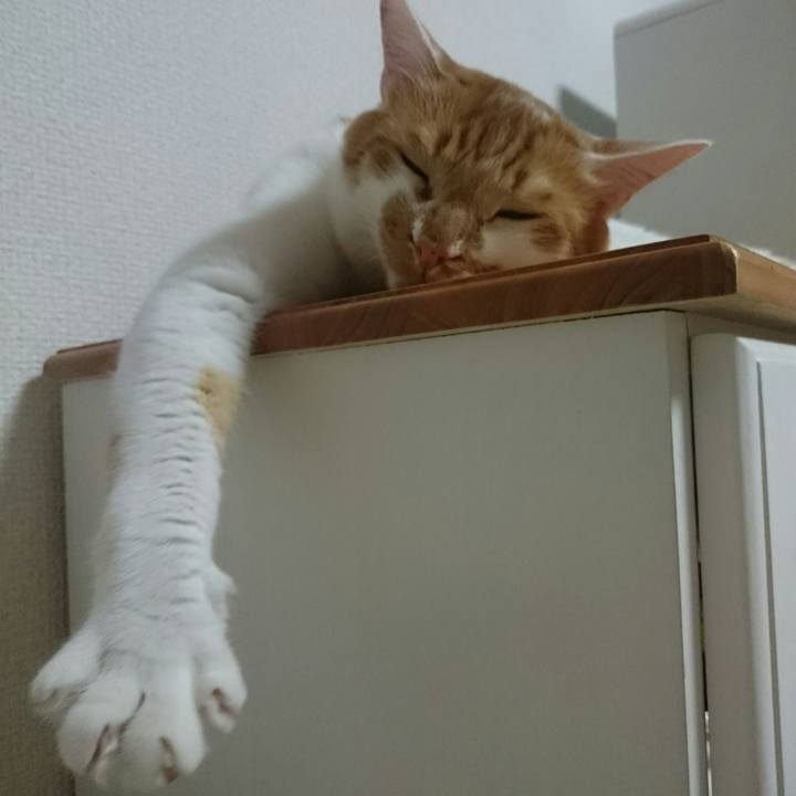 6350c2e1 66b5 4077 9c2d 07e9653380e1