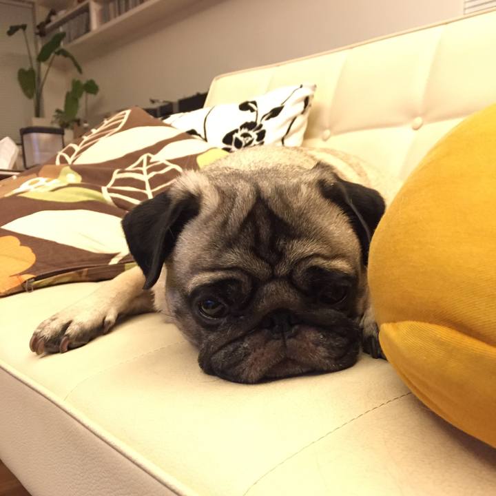 63515172 ca3d 41de bb0b 6937a04d4897