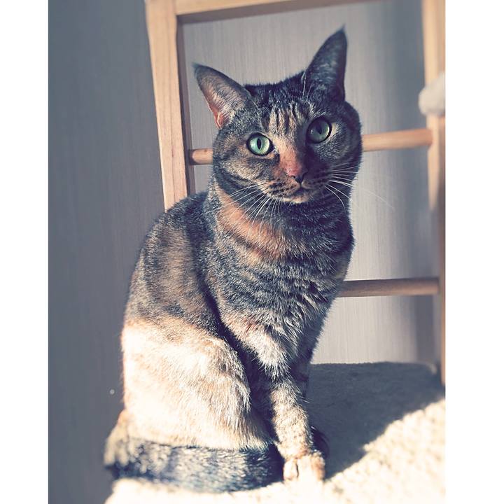 6351b7dc 72ca 4940 a894 54410eb793ef