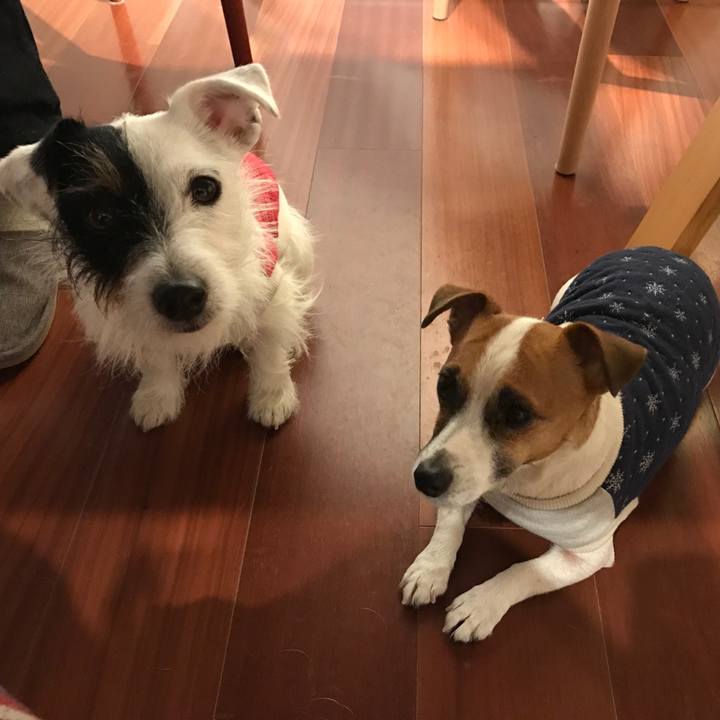 6351ba71 2044 4a1c 895d 629d52aa21b4