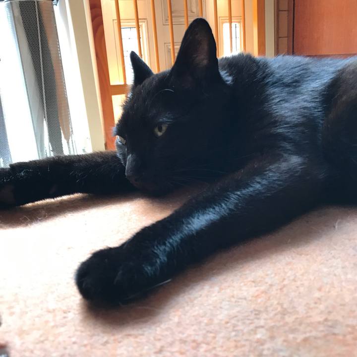 6352afc0 f92a 4fde b37b 12cd87e2ae08