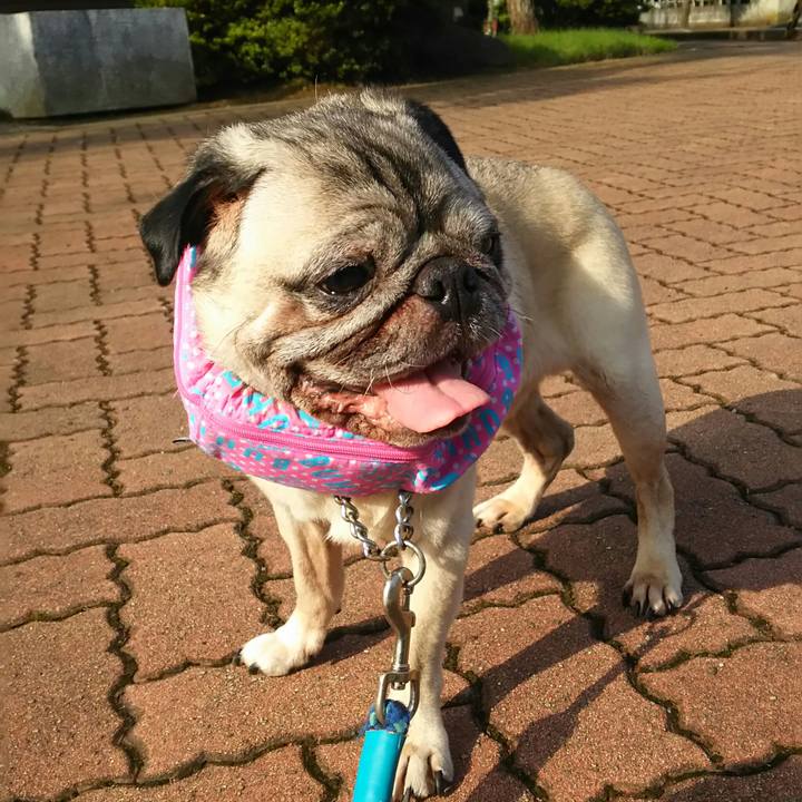 6352f9c9 59c5 4323 ba8e 1054da5aa55c