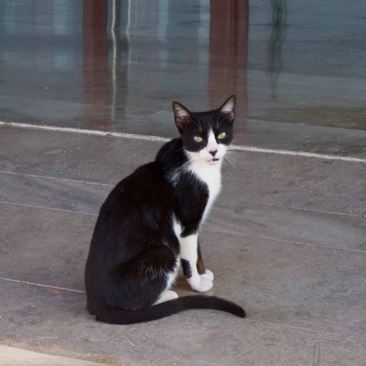 63536858 adb9 4007 a7b4 2d52f1732542