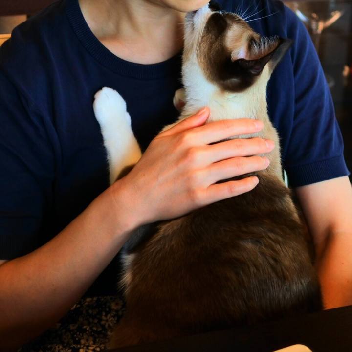 6353919e b8e5 4def 9560 90d3570dcb80