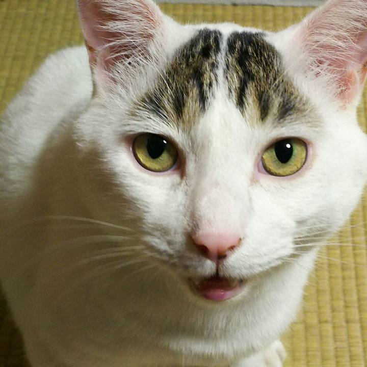 6353e616 dfe7 4597 8a14 8774fd5997de