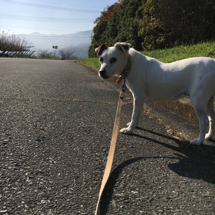 6354227e 51b9 40f4 8b91 9b1ab95fc375