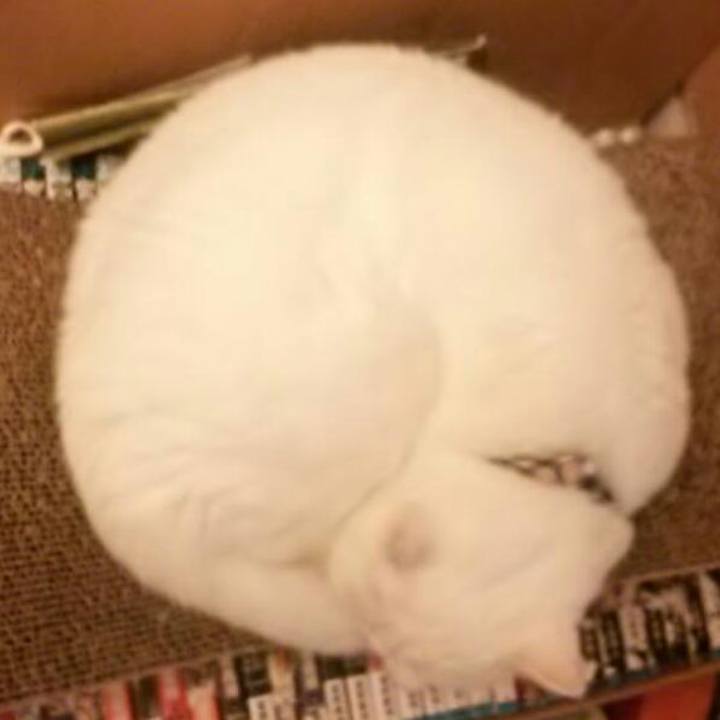 6354888b db93 4441 bb52 b17164cf8ffd