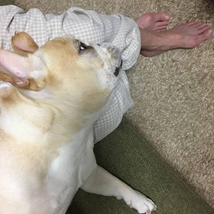 635529d6 6435 4880 b03a fb1041de7746