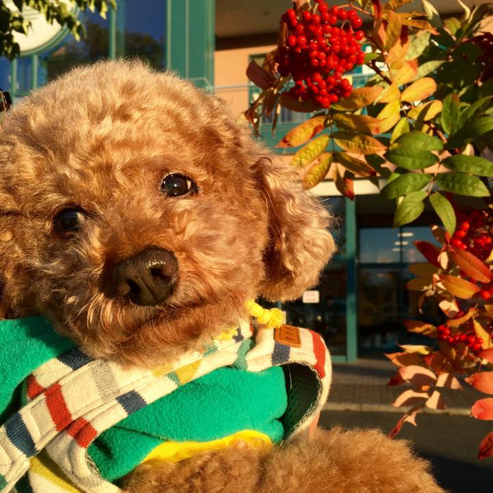 63554eac 1716 41aa a400 1a855d8539cf