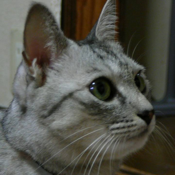 63556c13 10a6 4d6c ba66 39b9e9eea173