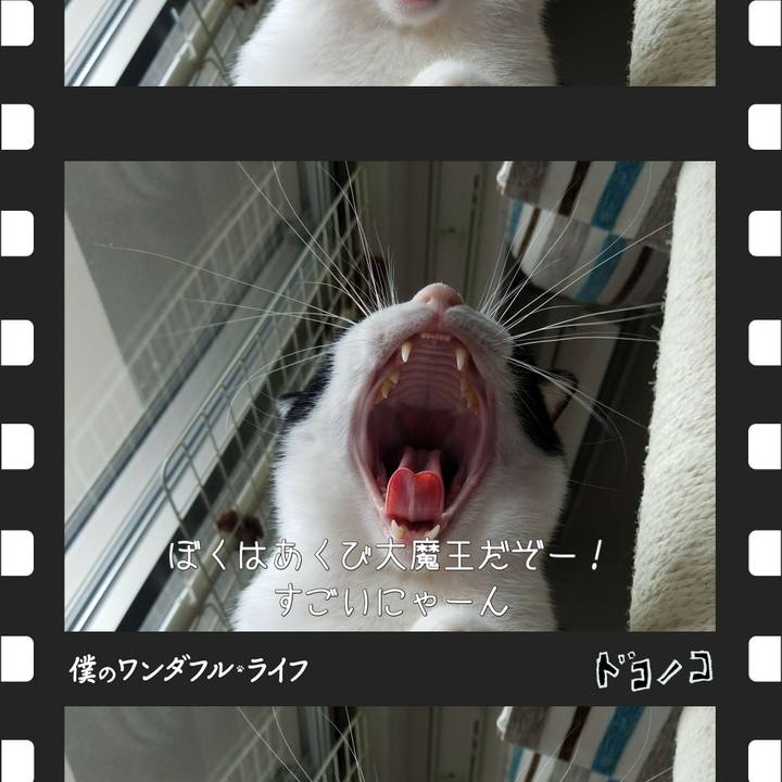 6355ccff c830 45af aee7 172135aac654