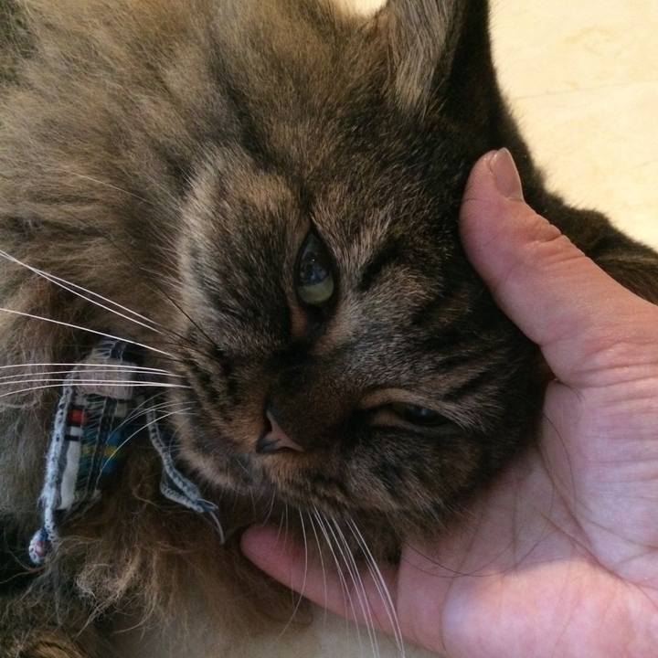 63566219 4800 4d81 9708 20f6dd8798cb