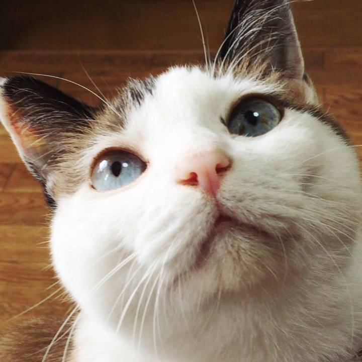 6356876a 45e7 4342 b5c0 94e9d28e1759