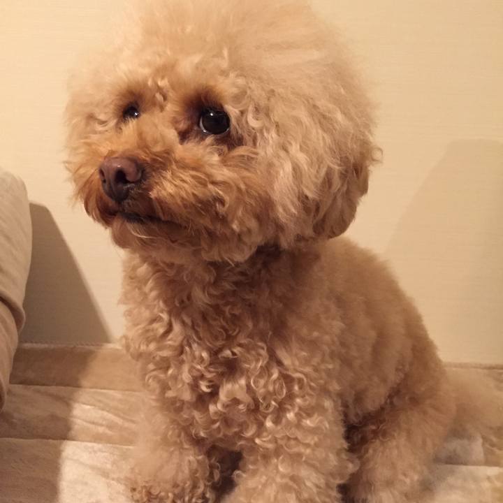 63572d7d f9ef 43e5 a504 cb395a4fb202