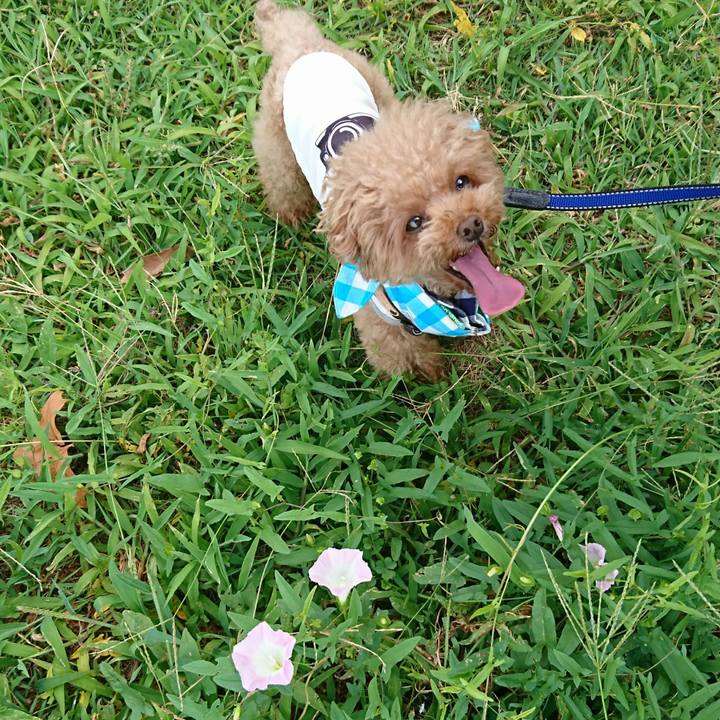 635766ac 31d3 4a5b b949 fa44cb828f30