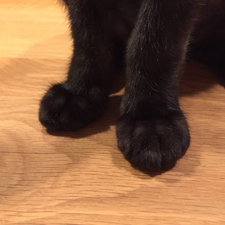 63578b8c 785a 4620 badd 2379b3e234f7