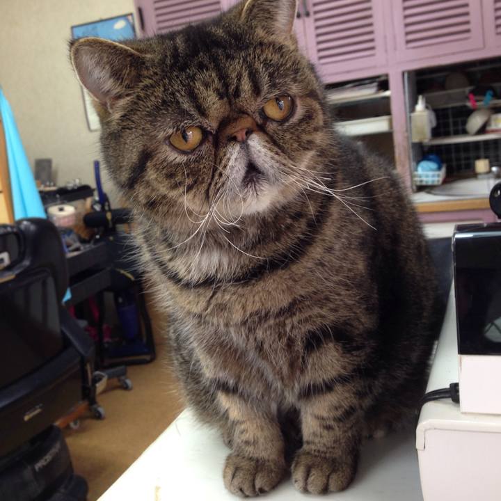 635849ca cf83 4c15 a50a 37d6cafa04f9