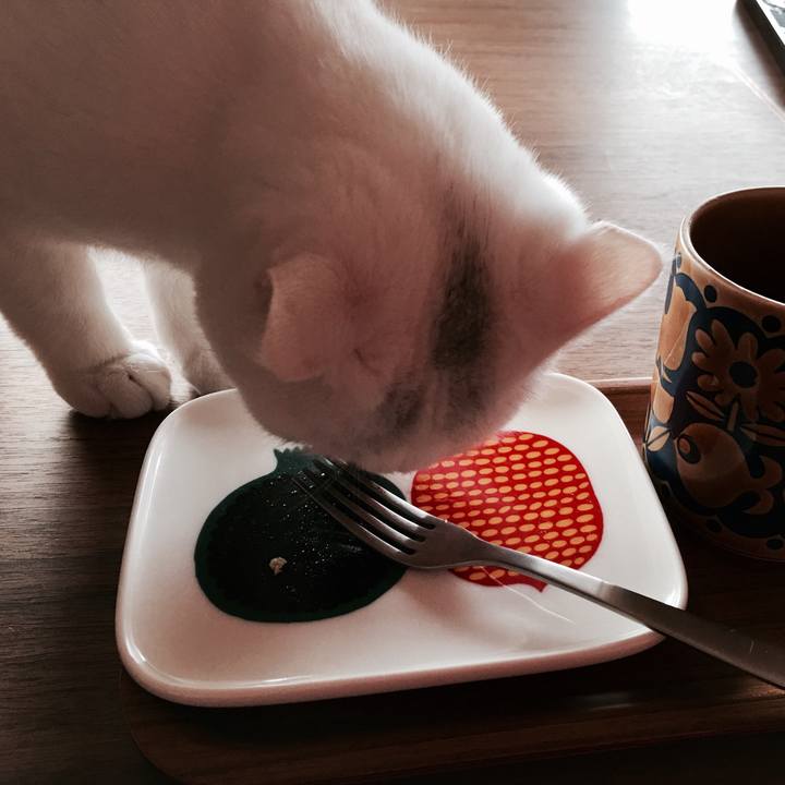 63585aa5 7374 444c b763 a1a34eebddd9