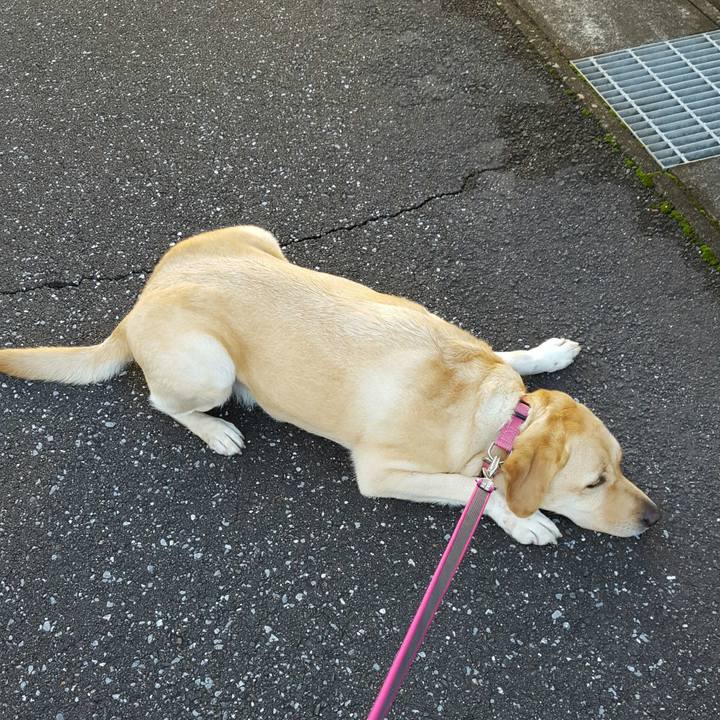 63586903 fd12 48f4 b6dd f2ebb5a08b91